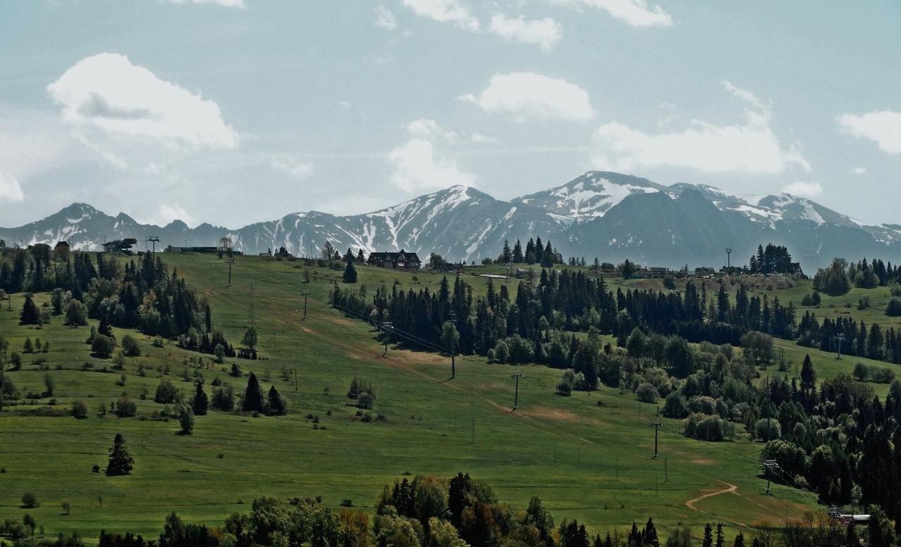 Izby Pod Litwinka Villa Czarna Góra Dış mekan fotoğraf