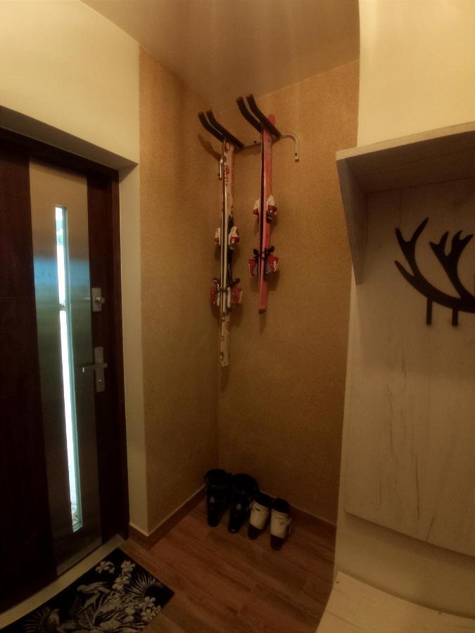 Izby Pod Litwinka Villa Czarna Góra Dış mekan fotoğraf